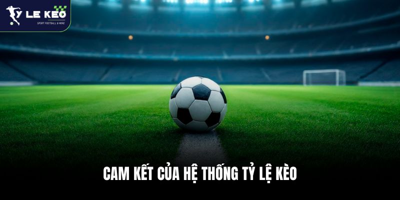 Cam kết của hệ thống Tỷ lệ kèo