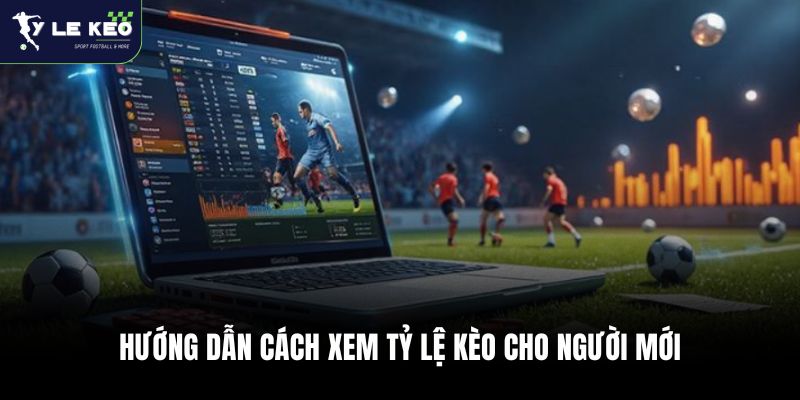 Hướng dẫn cách xem tỷ lệ kèo cho người mới