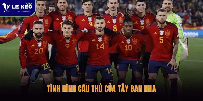 Tình hình cầu thủ của Tây Ban Nha